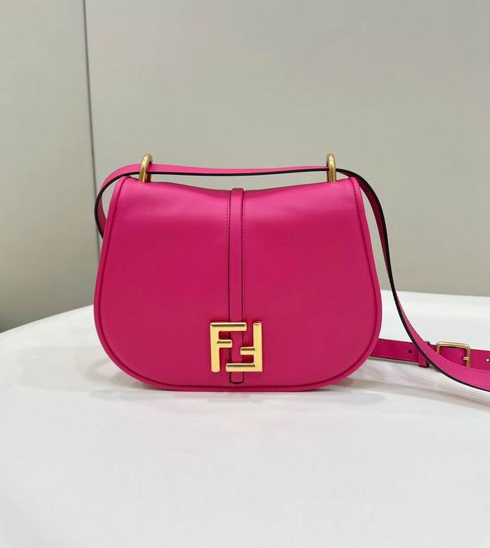 Fendi Handbags 2